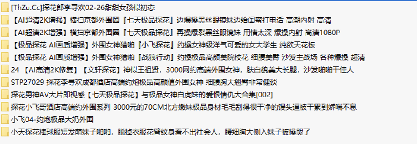 十大极品探花精选 10V+20G [单体合集预览图01