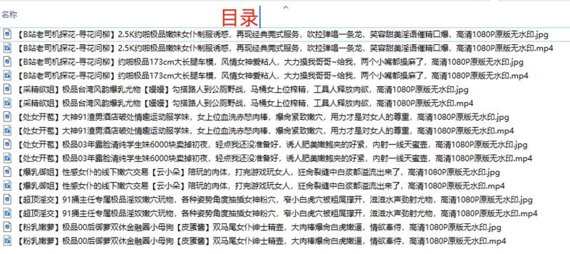 各类视频杂集 8部预览图09