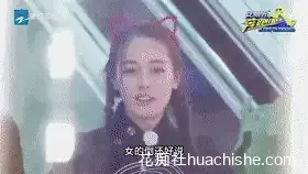 特殊综艺节目合集预览图22