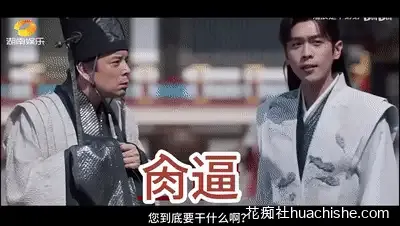 特殊综艺节目合集预览图21