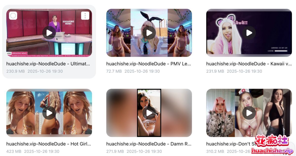 Noodle Dude 精品PMV合集预览图02