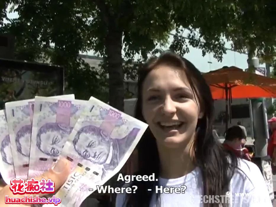 捷克街头金钱搭讪Publicagent 全系列最全合集预览图16