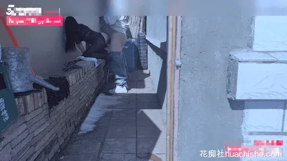 绿母少年阿宾 户外野战制服骚妈肛交内射预览图01